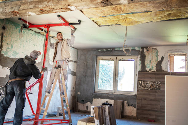 Best Cellulose Insulation  in Riceville, TN