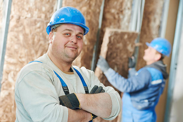 Best Insulation Contractor Near Me  in Riceville, TN